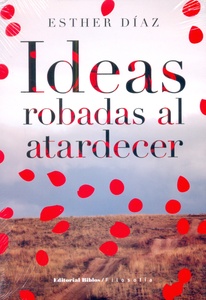 IDEAS ROBADAS AL ATARDECER