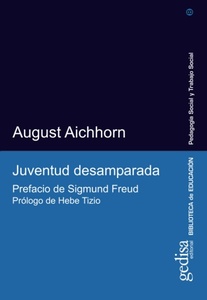 JUVENTUD DESAMPARADA